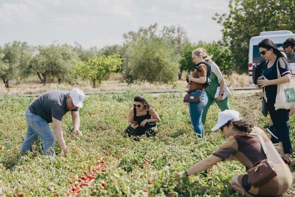 Brasileiros vão ao sul da Itália para descobrir os segredos do tomate Made in Italy
